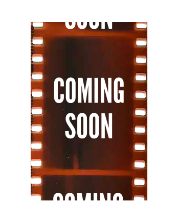 Camiseta Retro de Algodón | Estilo Años 2000 – Vandals